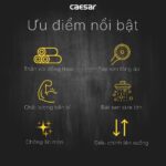 Vòi sen cây Caesar S1038S nhiệt độ - Ảnh 4