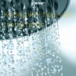 Vòi sen cây Caesar S1038S nhiệt độ - Ảnh 6