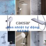 Vòi sen cây Caesar S658C nhiệt độ - Ảnh 16