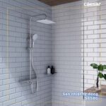 Vòi sen cây Caesar S658C nhiệt độ - Ảnh 9