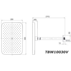 bản vẽ kích thước Bát sen âm tường TOTO TBW10030V gắn trần