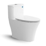 Bồn cầu 1 khối VIGLACERA V829 nắp êm