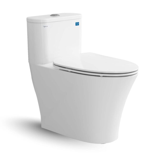 Bồn cầu 1 khối VIGLACERA V829 nắp êm