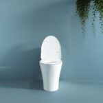 Bồn cầu 1 khối VIGLACERA V829 nắp êm - Ảnh 3