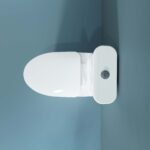 Bồn cầu 1 khối VIGLACERA V829 nắp êm - Ảnh 5