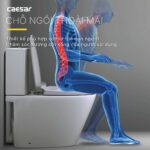 Bồn cầu 2 khối CAESAR CD1342 nắp êm - Ảnh 9