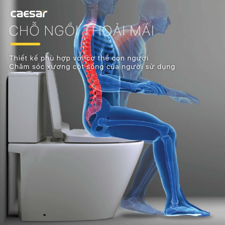 Bồn cầu 2 khối CAESAR CD1342 nắp êm - Ảnh 9