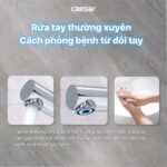 Vòi lavabo CAESAR B190C dây rút nóng lạnh - Ảnh 5