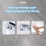 Vòi lavabo CAESAR B191C dây rút cổ cao - Ảnh 5