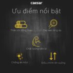 Vòi sen tắm CAESAR TS620 nhiệt độ - Ảnh 4